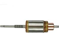 AS-PL SA9006 Ancorina, Starter