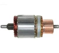 AS-PL SA9010 Ancorina, Starter