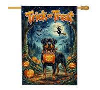 Rott - Bandiera per la casa, con zucche giocose e festive, luna, Halloween, arancione, su entrambi i lati, per portico anteriore, per esterni, prato, cortile, patio, ingresso, 71 x 101 cm