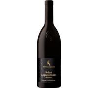Lagrein Riserva 'Select' 2021 - Tenuta Hans Rottensteiner