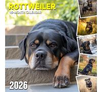 Rottweiler 2026 Calendar: Loyal protectors shown in strong and sweet poses