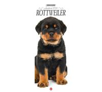 Rottweiler. Calendario 2026. Long