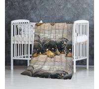 Rottweiler Cani che dormono Animali domestici Cuccioli Piccoli,Coperta morbida, calda, anti-pilling, in flanella, peluche, 76 x 127 cm