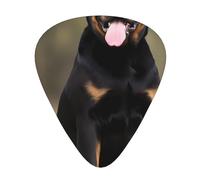 Rottweiler Dog Guitar Picks Gift Set - Plettri lisci e durevoli per chitarra acustica, elettrica e basso, regalo perfetto per gli amanti della chitarra e musicisti