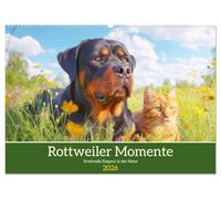 Rottweiler Momente. Kraftvolle Eleganz in der Natur (Wandkalender 2026 DIN A2 quer), CALVENDO Monatskalender: Die beeindruckende Ausstrahlung des Rottweilers in schönen Bildern