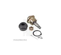 Rotula Braccio Sospensione Anteriore per Hyundai Galloper II Mitsubishi Galloper