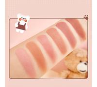 Rouge-Palette mit 6 Farben fÃ¼r Wangen-Make-up, 6 x 4 g Gesichtsfarbe, Schmutziges Orange & Getrocknetes