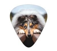 Rough Collie Bokeh Railway Dogs Animali domestici Ruvidi,12 pezzi di plettri per chitarra, 3 plettri di diverso spessore per chitarra acustica, basso, ukulele