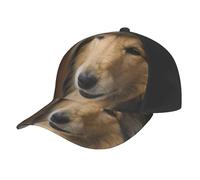 Rough Collie Lassie Cani Grandi e Soffici Animali Domestici,Cappellino da Baseball Regolabile, Classico, da papà, da Camionista