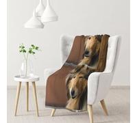 Rough Collie Lassie Cani Grandi e Soffici Animali Domestici,Coperta morbida, calda, anti-pilling, in flanella, peluche, 76 x 102 cm