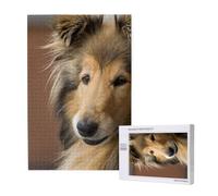 Rough Collie Lassie Cani Grandi e Soffici Animali Domestici,Puzzle in legno da 1000 pezzi per adulti e adolescenti