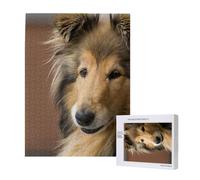 Rough Collie Lassie Cani Grandi e Soffici Animali Domestici,Puzzle in legno da 500 pezzi per adulti e adolescenti