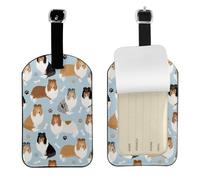 Rough Collie Paws And Bones,Etichette per bagagli in pelle PU, etichette per bagagli resistenti da viaggio, 2 pezzi