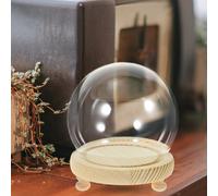 Round Plant Dome Porta Espositore Sfera in Decorativo Copertura Cupola