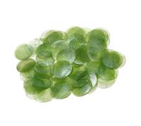 Round Shell Pieces 100 Pack | Natural Seashell, 2in Diameter, 350 g | Connettori a disco con foro per bricolage, Wind Chimes, Jewelry Making