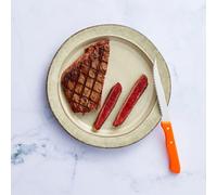 Rousselon Micro Lama seghettata Serie 197 - Set di coltelli da Bistecca, Arancione, 11.5 cm, 6 Pezzo