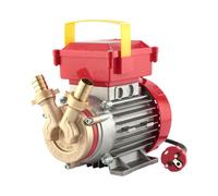 ROVER Be-M 20 Ce Elettropompa Travaso Monofase 0,5 HP