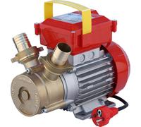 Rover Pompe ELETTROPOMPA DA TRAVASO BE-M 40 Hp 1,2 (Ø mm. 40)