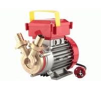 Elettropompa da travaso Rover 25 CE - motore 0,8 hp monofase - pompa elettrica