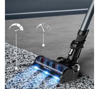 Rowenta Scopa Versatile X-FORCE 16.60 Animal