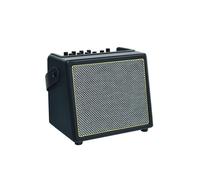Rowin 30W Amplificatore Portatile per Chitarra Acustica Amp BT Altoparlante con Ingresso Microfono Supporta Volume Controllo Bassi Spina USA