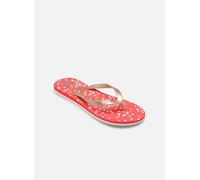 Roxy - Tahiti VII Rosso - Infradito 36 Rosso