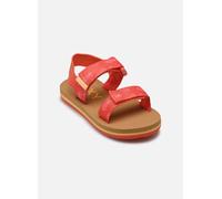 Roxy - TW ROXY CAGE Arancione - Sandali e scarpe aperte 24 Arancione