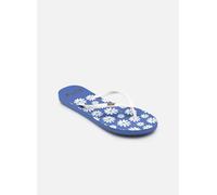 Roxy - VIVA PRINTED Blu - Infradito 38 Blu