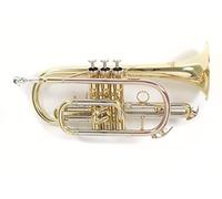 Roy Benson Cornetta in Sib Bb CR-202, laccata, ottone leggero, custodia rettangolare inclusa