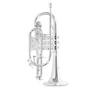Roy Benson Bb-Cornet CR-302S (cornetta professionale con alesaggio ML, campana in ottone da 119 mm, guide esterne in alpacca e valvole in acciaio inossidabile), placcata argento