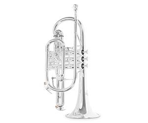 Roy Benson Bb-Cornet CR-302S (cornetta professionale con alesaggio ML, campana in ottone da 119 mm, guide esterne in alpacca e valvole in acciaio inossidabile), placcata argento