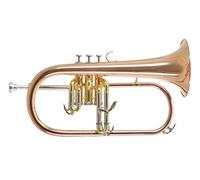 Roy Benson Bb Flugelhorn FH-302G (con foro MS da 11 mm, campana in ottone dorato, inclusa custodia rettangolare leggera, con funzione di zaino, dimensioni: 6"), laccato
