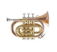 Roy Benson Bb pocket trumpet PT-101G (con campana in ottone dorato, dimensioni compatte per un suono professionale, incluso astuccio rettangolare e set di zaini)