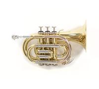 Roy Benson tromba sib pocket PT302 Laccata