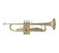 Roy Benson Bb TR 202 Student Pro - Tromba