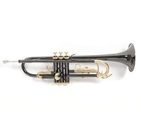Roy Benson TR-101K Tromba Sib