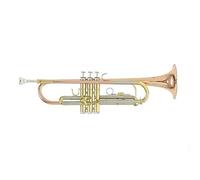 Roy Benson Bb Trumpet TR-202G (costruzione durevole in ottone dorato, con custodia rettangolare leggera, set di zaini, valvole in acciaio inossidabile di qualità superiore)