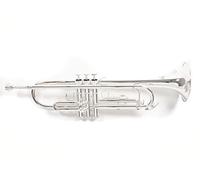 Roy Benson TR-202S Tromba Sib