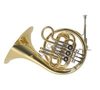 Roy Benson Corno francese in fa per bambini HR-212F (appositamente progettato per le braccia dei bambini, con campana in ottone, leadpipe in ottone dorato, slide in alpacca)