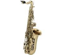 Roy Benson Eb-Alt Children's Saxophone AS-201 (progettato appositamente per i bambini, con panno per la pulizia, con cinghia per l'imbracatura, in una custodia rettangolare leggera, con set di zaini)