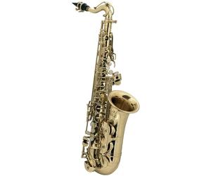 Roy Benson Eb-Alt Children's Saxophone AS-201 (progettato appositamente per i bambini, con panno per la pulizia, con cinghia per l'imbracatura, in una custodia rettangolare leggera, con set di zaini)