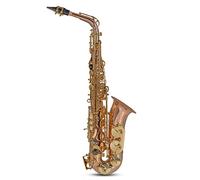 Roy Benson Eb-Alt Saxophone AS-202G (lussuoso corpo in bronzo, chiavi in ottone laccato, chiave F# alta, bilanciere B/B, bocchino di qualità superiore, custodia rettangolare leggera)