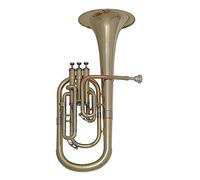 Roy Benson flicorno alto AH301 Laccato