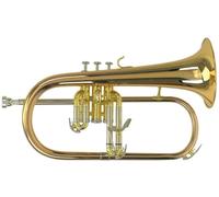 Roy Benson FH-302G Flicorno