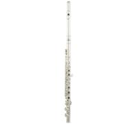 Roy Benson Flute FL-402R (strumento musicale di alta qualità, placcato in nichel argento, per una sensazione di gioco ottimale, custodia in legno, bacchetta e panno per la pulizia inclusi)