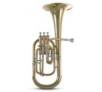 Roy Benson flicorno alto AH301 Laccato