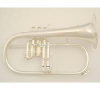 Roy Benson flicorno soprano FH302S Argentato