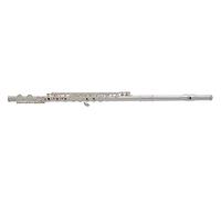 Roy Benson Flute FL-402R (strumento musicale di alta qualità, placcato in nichel argento, per una sensazione di gioco ottimale, custodia in legno, bacchetta e panno per la pulizia inclusi)