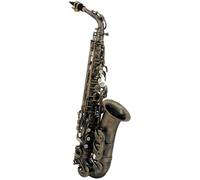 Roy Benson Student Series Saxophone Alto Mib AS-202A vernis à l'ancienne