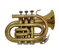 Roy Benson tromba sib pocket PT101 Laccata